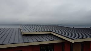 Best Green or Eco-Friendly Roofing Solutions  in City View, SC